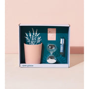 Modern Sprout Seek Peace - Mindful Meditation Kit Gift Set