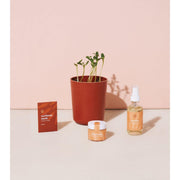 Modern Sprout Shine Bright - Radiant Positivity Kit Gift Set