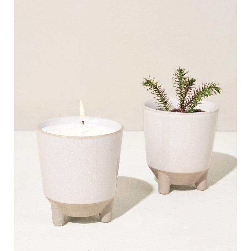 Modern Sprout Glow & Grow Kits Candle