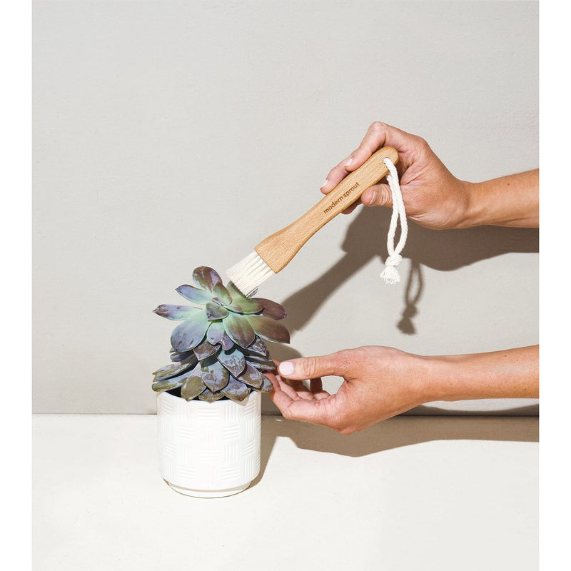 Modern Sprout Plant Parent - Botanical Gift Box Set Gift Set