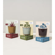 Modern Sprout Glow & Grow Kits Candle