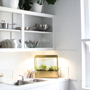 Modern Sprout Smart Growhouse Grow Light