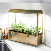 Modern Sprout Smart Growhouse Grow Light