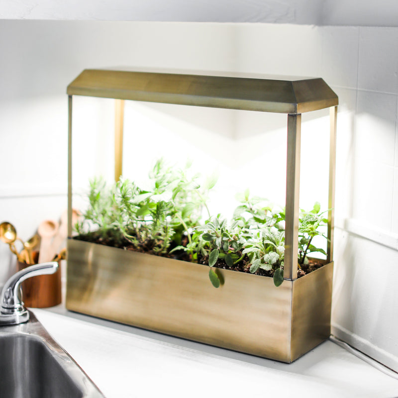 Modern Sprout Smart Growhouse Grow Light