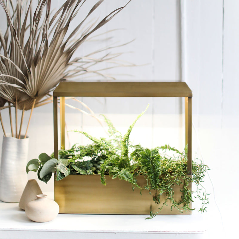 Modern Sprout Smart Growhouse Grow Light