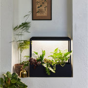 Modern Sprout Smart Growhouse Grow Light