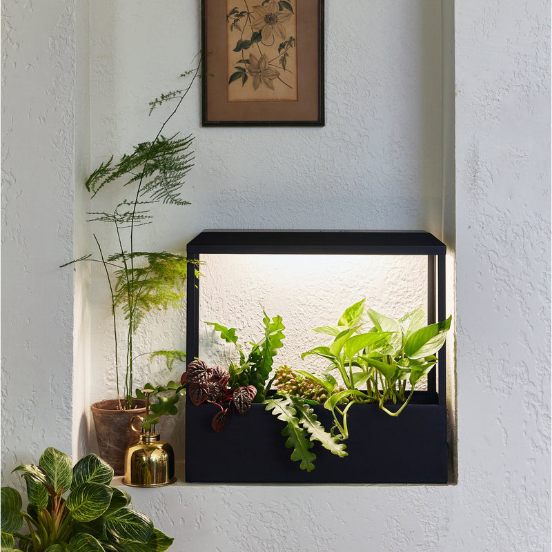 Modern Sprout Smart Growhouse Grow Light