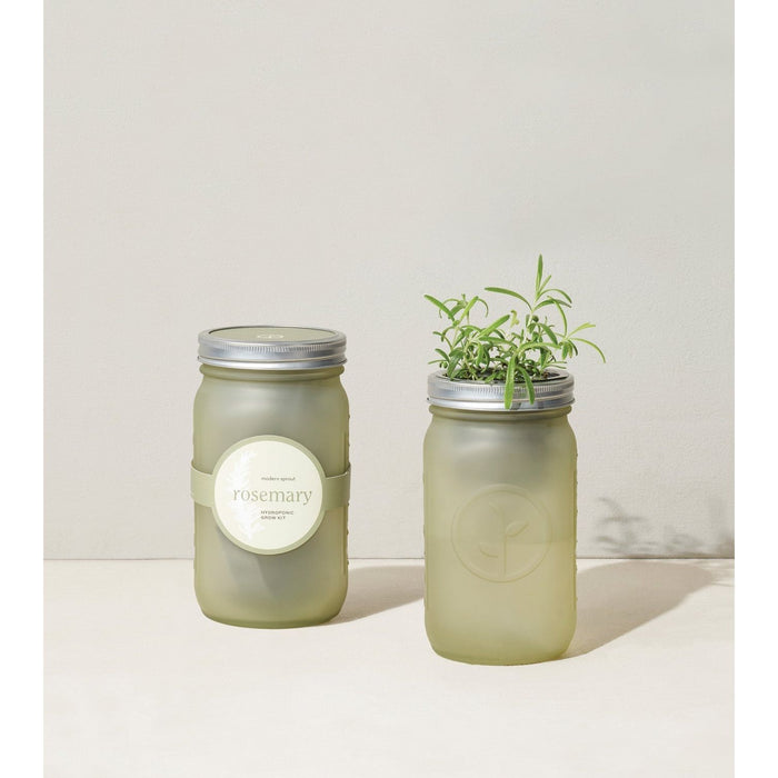 Modern Sprout - Modern Sprout - Garden Jars - Herbs