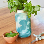 Modern Sprout Garden Jars - Organic Herbs Indoor Garden Kit