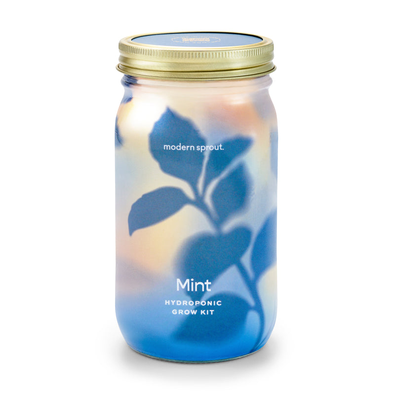 Modern Sprout Garden Jars - Organic Herbs Indoor Garden Kit