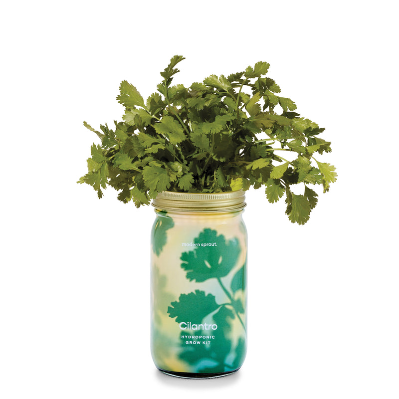 Modern Sprout Garden Jars - Organic Herbs Indoor Garden Kit