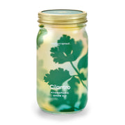 Modern Sprout Garden Jars - Organic Herbs Indoor Garden Kit