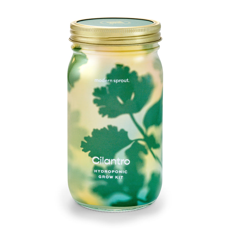 Modern Sprout Garden Jars - Organic Herbs Indoor Garden Kit