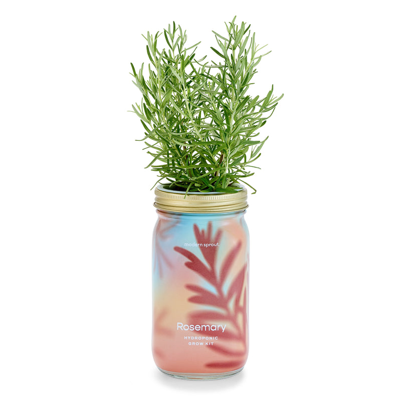 Modern Sprout Garden Jars - Organic Herbs Indoor Garden Kit