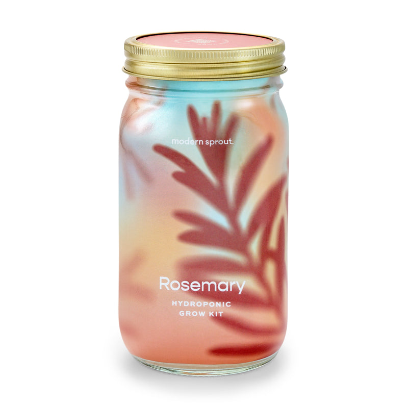 Modern Sprout Garden Jars - Organic Herbs Indoor Garden Kit