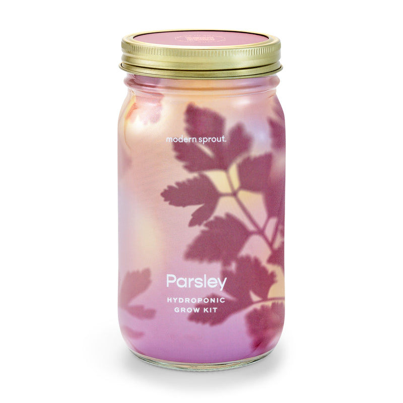 Modern Sprout Garden Jars - Organic Herbs Indoor Garden Kit
