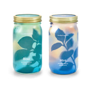 Modern Sprout Garden Jars - Organic Herbs Indoor Garden Kit