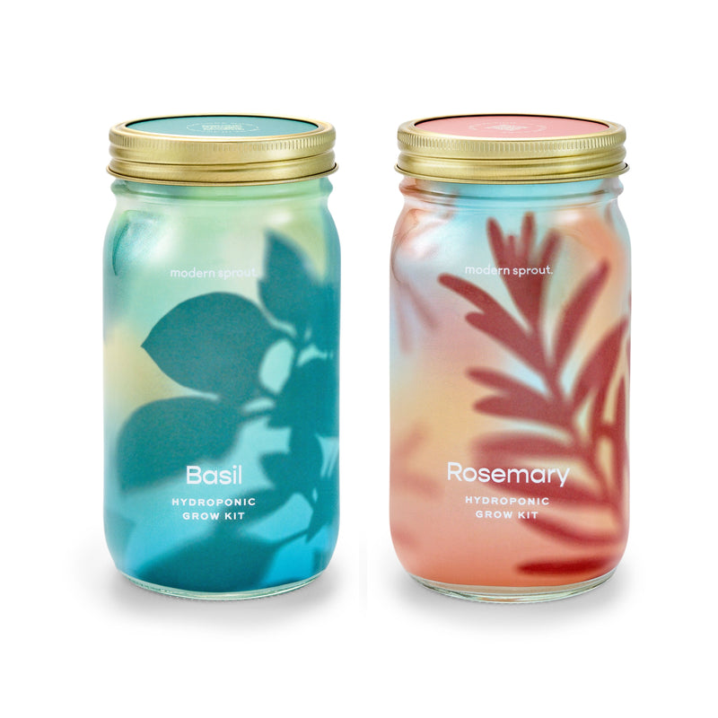 Modern Sprout Garden Jars - Organic Herbs Indoor Garden Kit