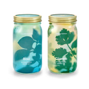Modern Sprout Garden Jars - Organic Herbs Indoor Garden Kit