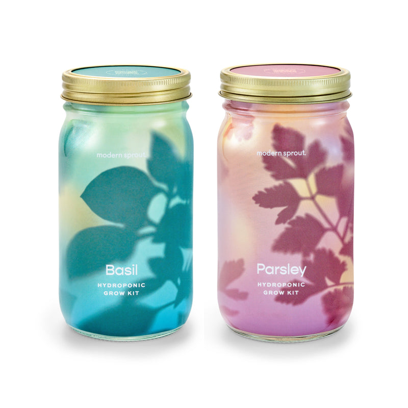 Modern Sprout Garden Jars - Organic Herbs Indoor Garden Kit