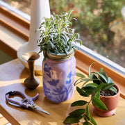 Modern Sprout Garden Jars - Organic Herbs Indoor Garden Kit
