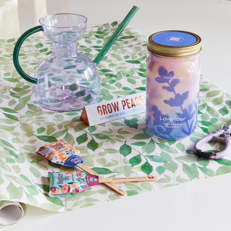 Modern Sprout Garden Jars - Organic Herbs Indoor Garden Kit