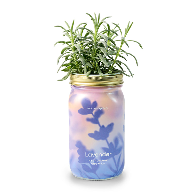 Modern Sprout Garden Jars - Organic Herbs Indoor Garden Kit