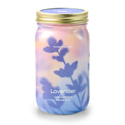 Modern Sprout Garden Jars - Organic Herbs Indoor Garden Kit