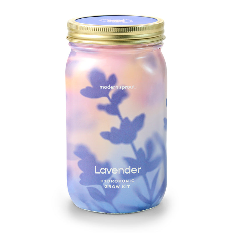 Modern Sprout Garden Jars - Organic Herbs Indoor Garden Kit