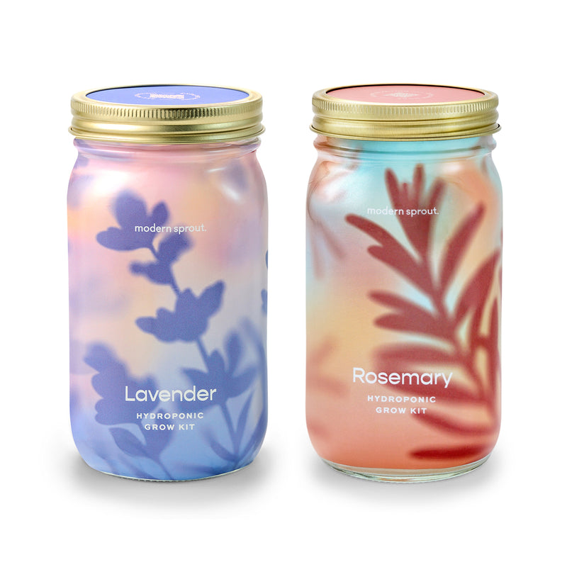 Modern Sprout Garden Jars - Organic Herbs Indoor Garden Kit