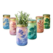 Modern Sprout Garden Jars - Organic Herbs Indoor Garden Kit