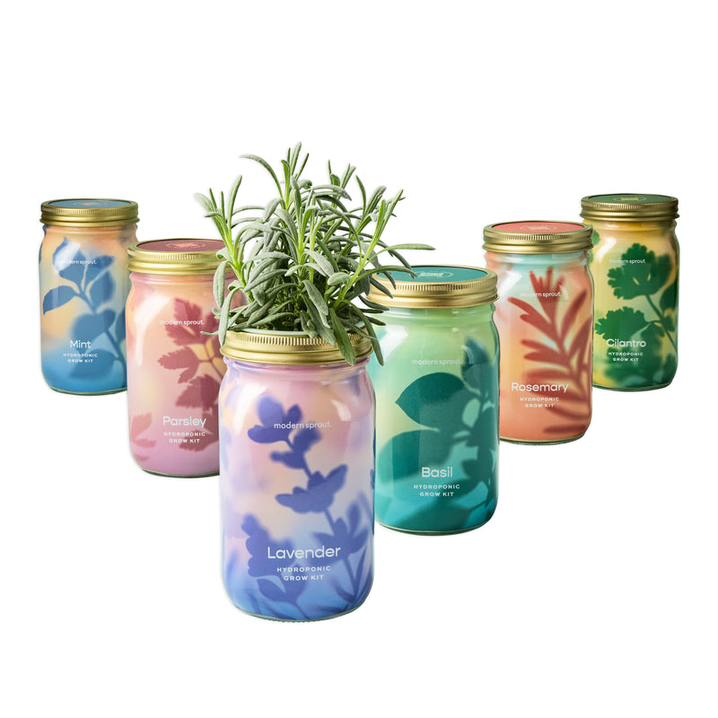 Modern Sprout Garden Jars - Organic Herbs Indoor Garden Kit