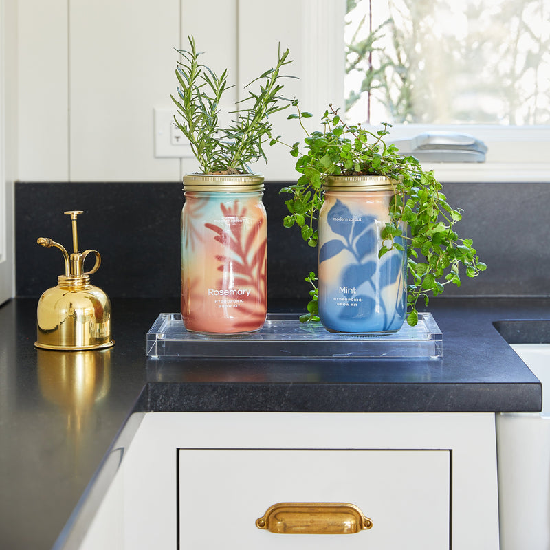 Modern Sprout Garden Jars - Organic Herbs Indoor Garden Kit