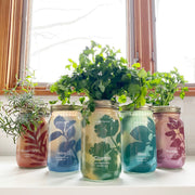 Modern Sprout Garden Jars - Organic Herbs Indoor Garden Kit