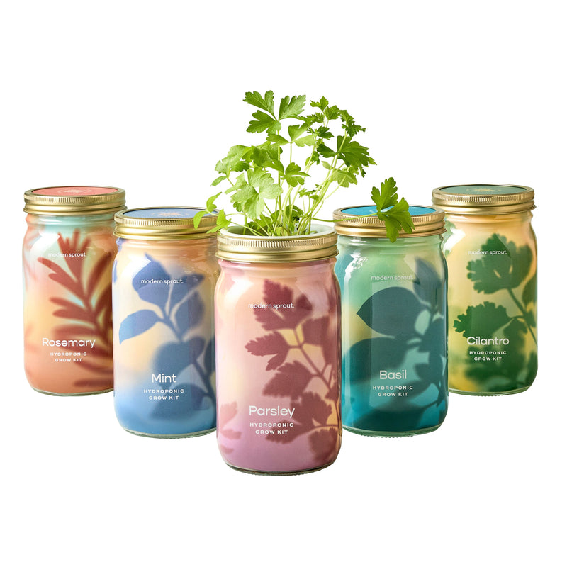 Modern Sprout Garden Jars - Organic Herbs Indoor Garden Kit