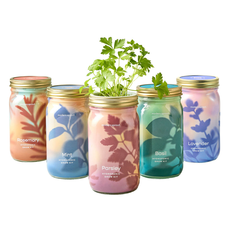 Modern Sprout Garden Jars - Organic Herbs Indoor Garden Kit