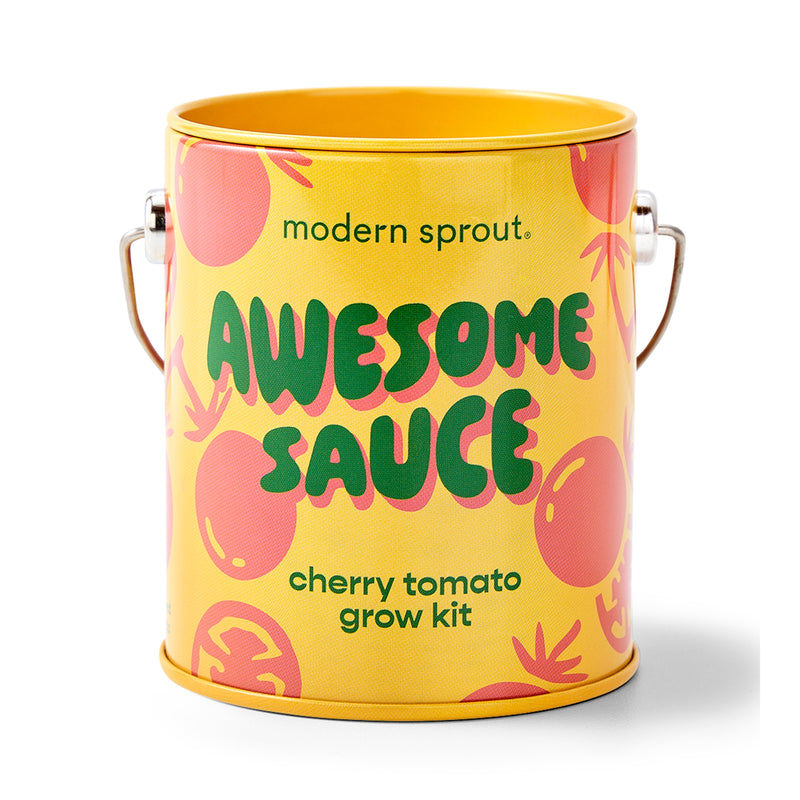 Modern Sprout Complimentary Colors Grow Kits Indoor Garden Kit