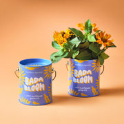 Modern Sprout Complimentary Colors Grow Kits Indoor Garden Kit