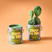Modern Sprout Complimentary Colors Grow Kits Indoor Garden Kit