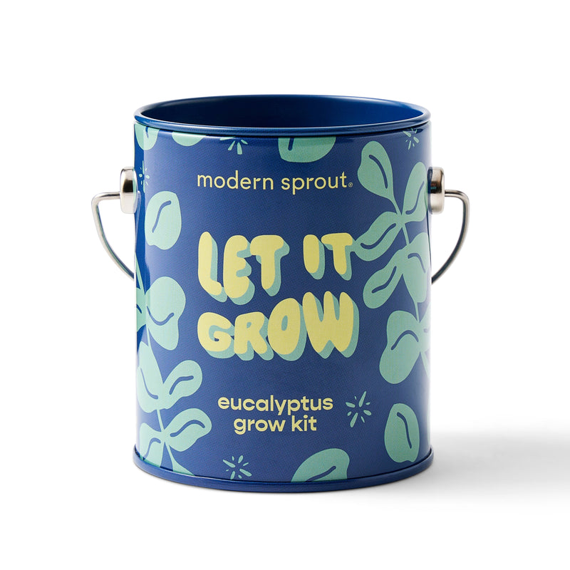 Modern Sprout Complimentary Colors Grow Kits Indoor Garden Kit