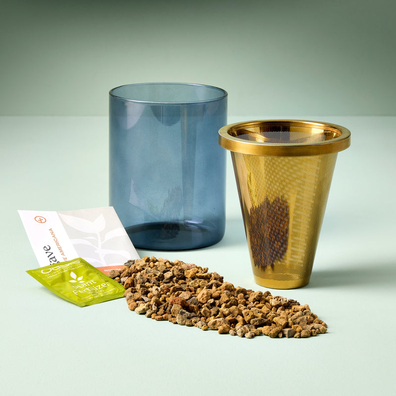 Modern Sprout Agave Grow Kit Indoor Garden Kit