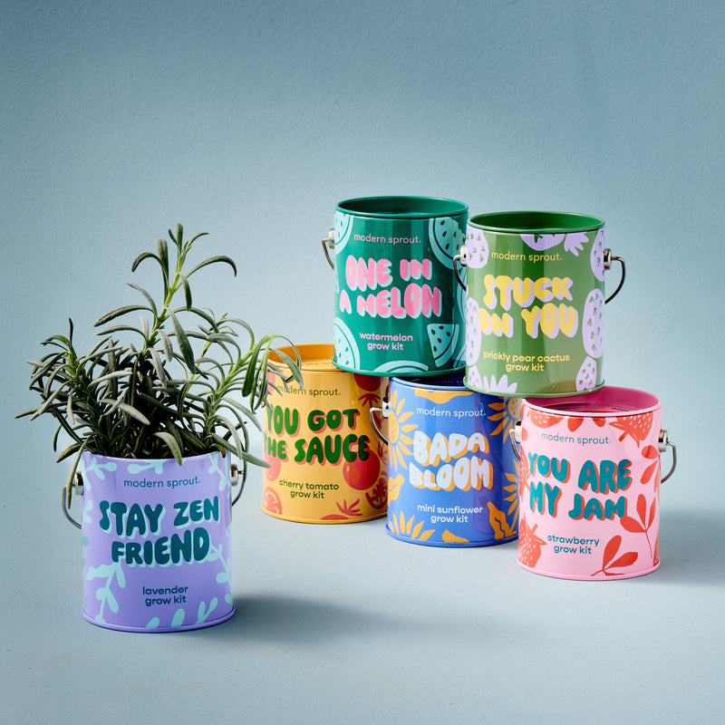 Modern Sprout Complimentary Colors Grow Kits Indoor Garden Kit