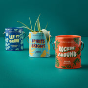 Modern Sprout Complimentary Colors Grow Kits Indoor Garden Kit