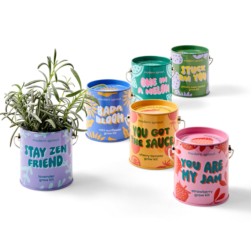 Modern Sprout Complimentary Colors Grow Kits Indoor Garden Kit