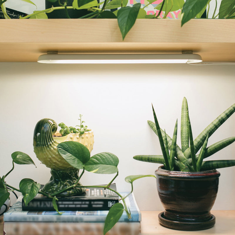 Modern Sprout Smart Growbar Grow Light