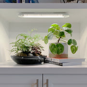 Modern Sprout Smart Growbar Grow Light