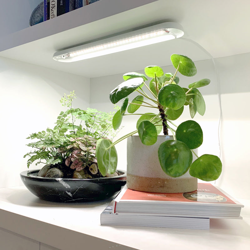 Modern Sprout Smart Growbar Grow Light