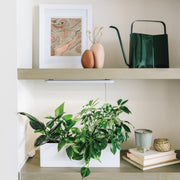 Modern Sprout Smart Growbar Grow Light