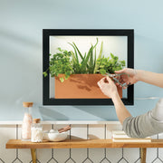 Modern Sprout Smart Standard Growframe Grow Light