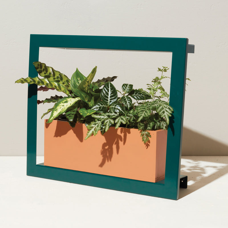 Modern Sprout Smart Standard Growframe Grow Light